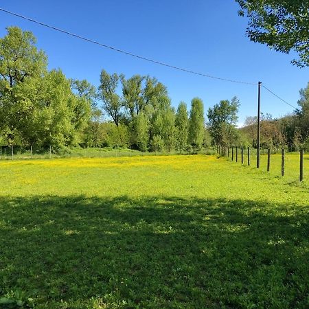 La Baia Dei Lupi Bed & Breakfast Rezzano Eksteriør bilde