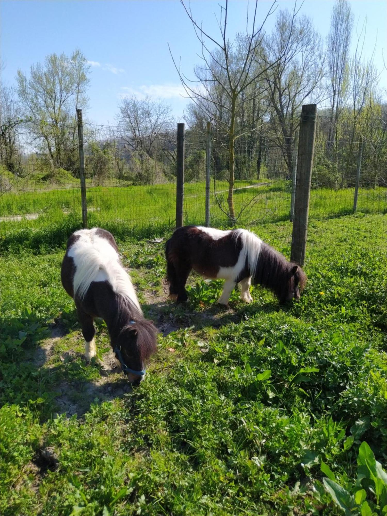 La Baia Dei Lupi Bed & Breakfast Rezzano Eksteriør bilde
